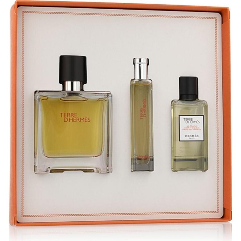 Hermes Terre d`Hermes M Set - EDT 100 ml + a/s lotion 40 ml + EDT 15 ml