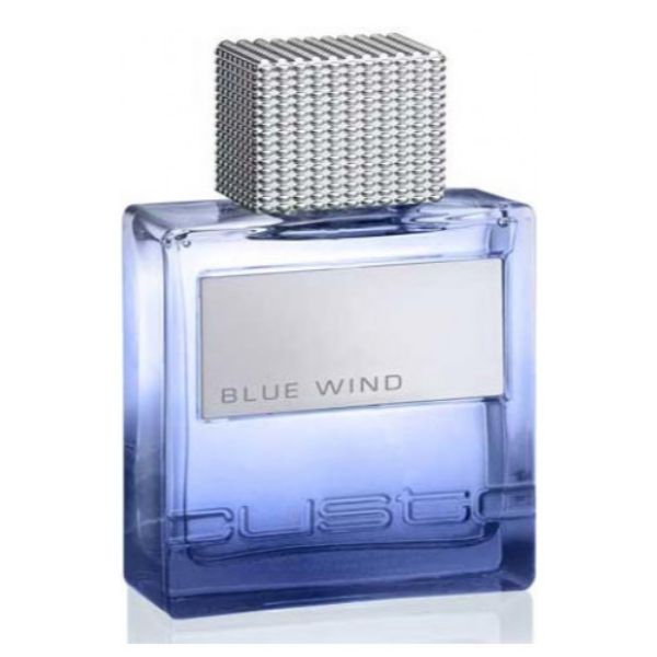 Custo Barcelona Blue Wind M EDT 100ml Tester